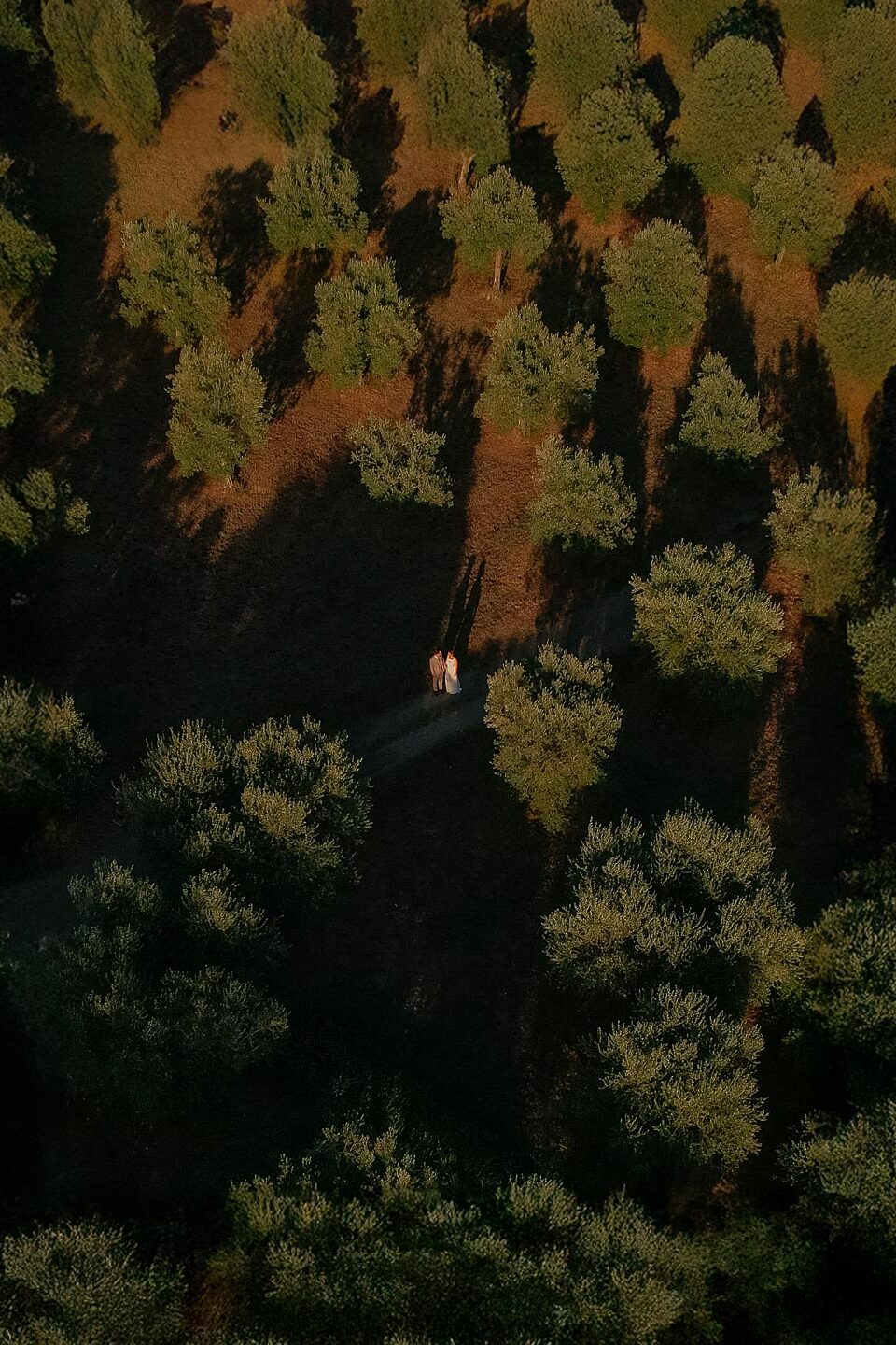 Lisse e Joep - Destination Wedding Photograher Tuscanuy Tenuta Mocajo - Matteo Fagiolino